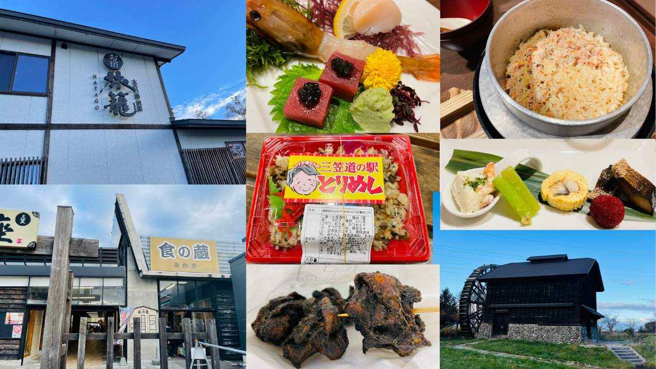 活動歴および当時の関連ビジュアル記録